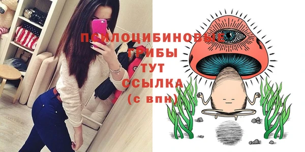 ПСИЛОЦИБИНОВЫЕ ГРИБЫ Краснотурьинск