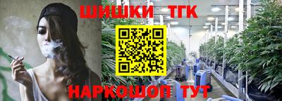 гашик Будённовск