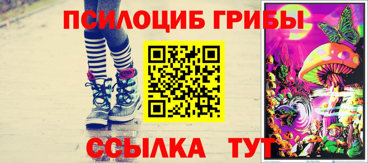 Псилоцибиновые грибы Cubensis Воткинск