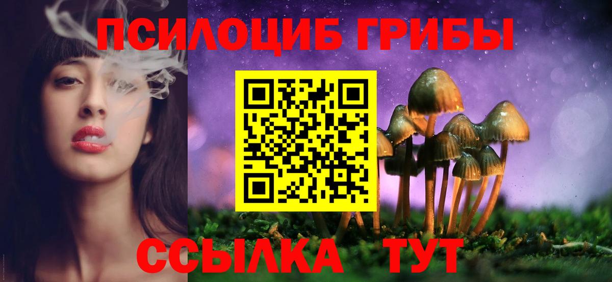 Воткинск  Галлюциногенные грибы Psilocybine cubensis  Вход с VPN 